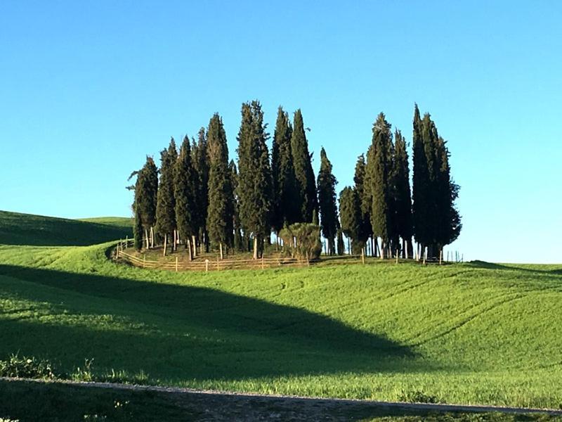 Finestra Sulla Val D'Orcia Apartment San Quirico d'Orcia Exterior photo